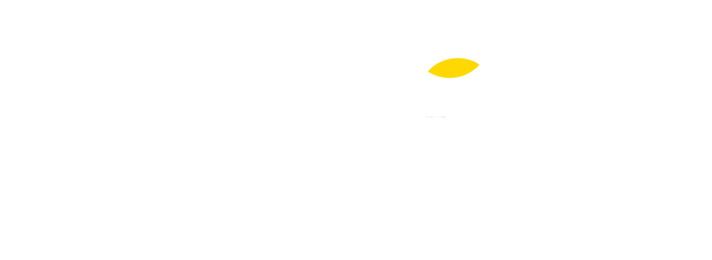 estudio de comunicación, grestión de crisis, resilencia, creación de contenidos, creatividad, producción audiovisual, diseño gráfico, marketing, desarrollo web